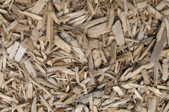 biomass boilers Rylstone